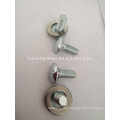 short square neck carriage bolt, carriage bolt washer from Chinese manufacture